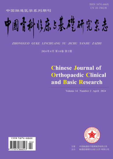 中国骨科临床与基础研究杂志