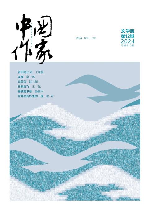 中国作家（纪实版）