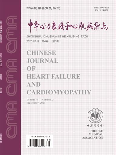 中华心力衰竭和心肌病杂志（中英文）