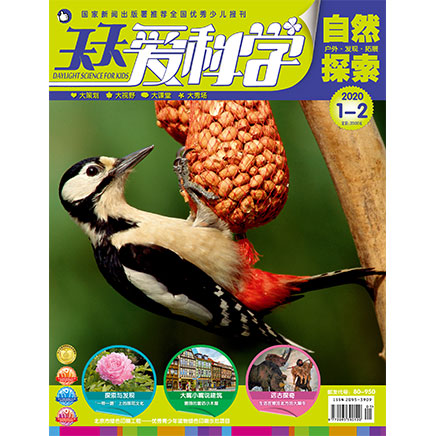 天天爱科学