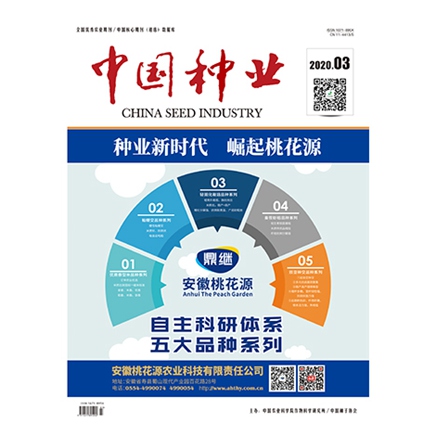 中国种业