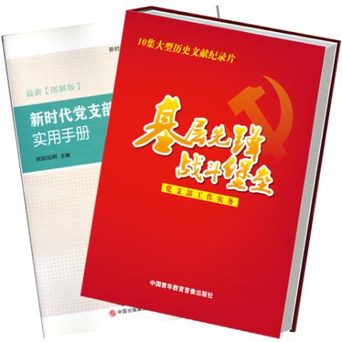 最新党支部工作实务
