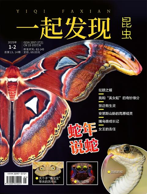 一起发现