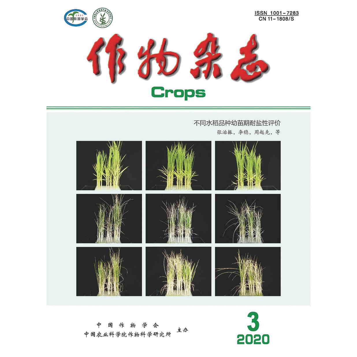 作物杂志