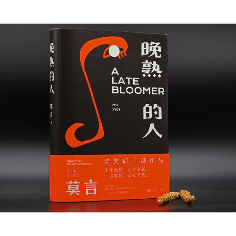 晚熟的人-莫言