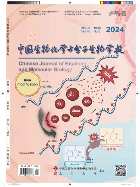 中国生物化学与分子生物学报