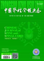 中国脊柱脊髓杂志