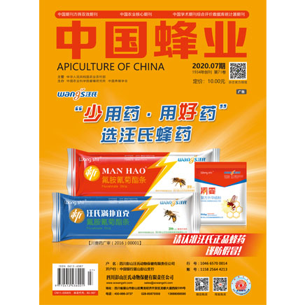 中国蜂业