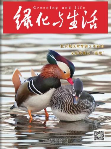 绿化与生活