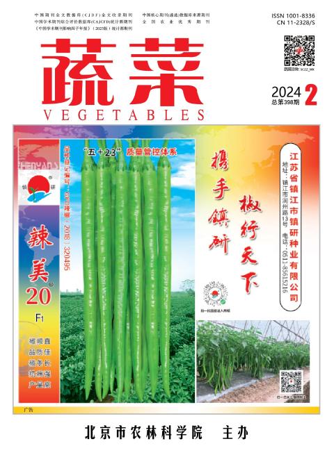 蔬菜