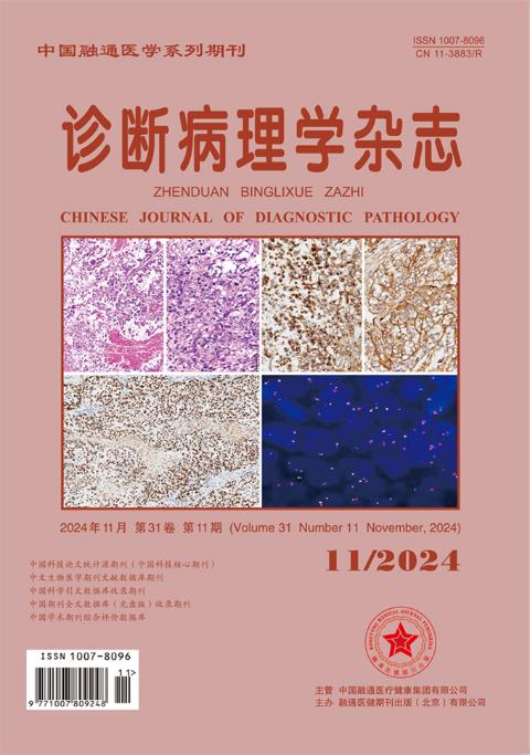 诊断病理学杂志