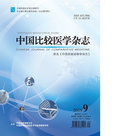 中国比较医学杂志